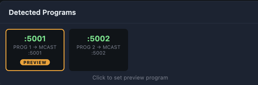 Program marked for preview